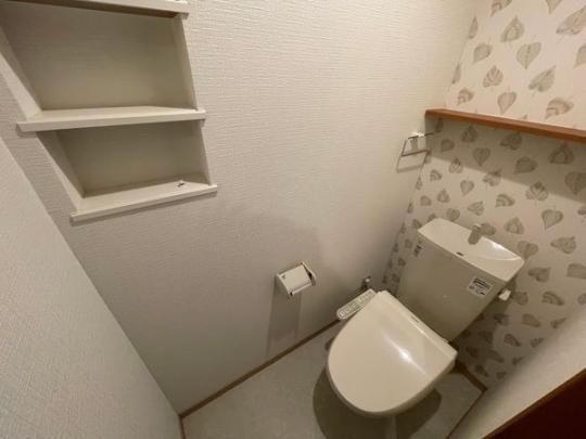 �y���̑��z�@�g�C��