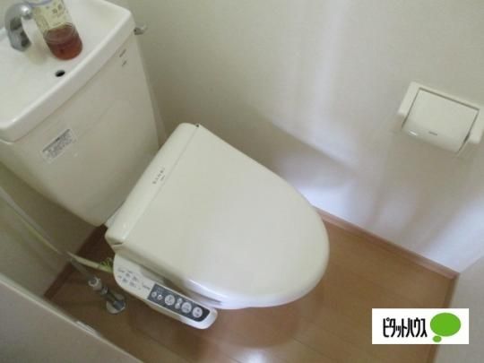 �y���̑��z�@�g�C��