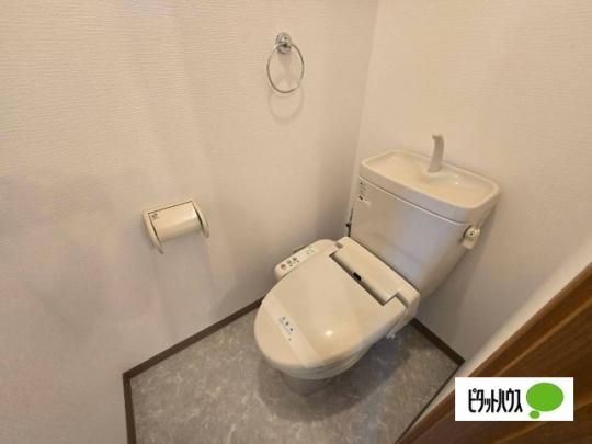 �y���̑��z�@�g�C��