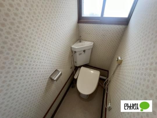 �y���̑��z�@�g�C��