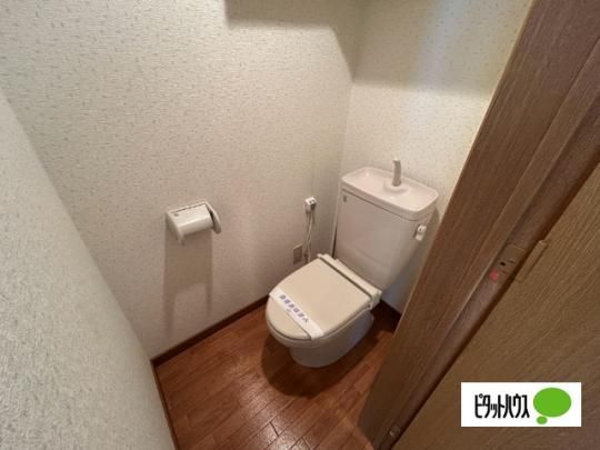 �y���̑��z�@�g�C��