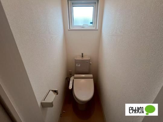 �y���̑��z�@�g�C��