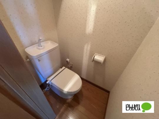 �y���̑��z�@�g�C��