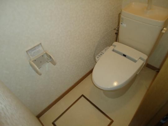 �y���̑��z�@�g�C��