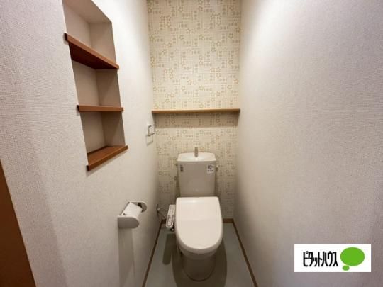 �y���̑��z�@�g�C��