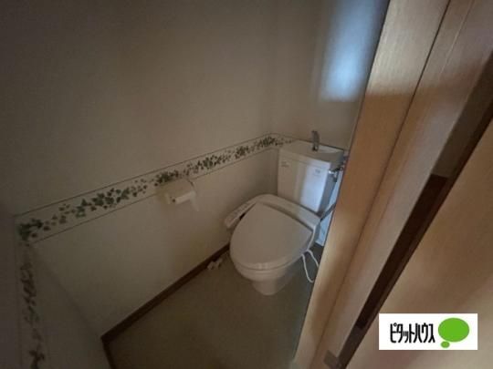 �y���̑��z�@�g�C��