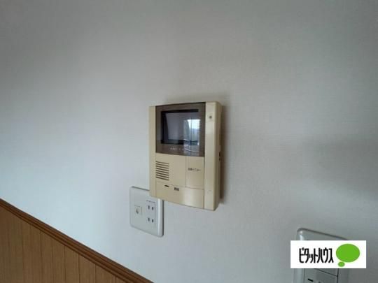�y���̑��z�@�Z�L�����e�B