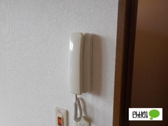 �y���̑��z�@�Z�L�����e�B