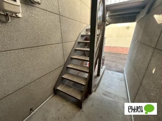 �y�����O�ρz�@���r�[