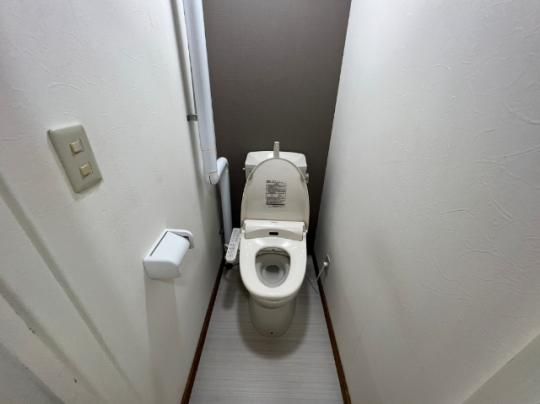 �y���̑��z�@�g�C��