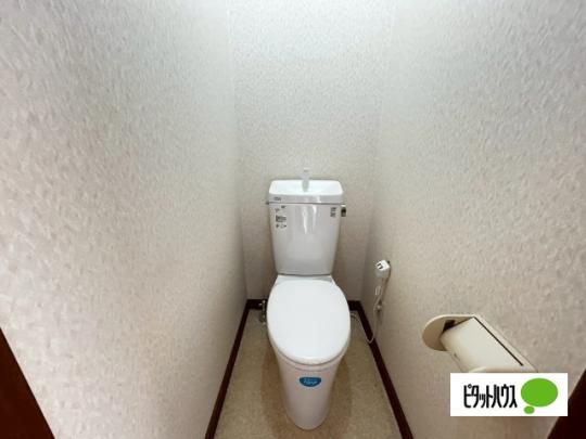 �y���̑��z�@�g�C��