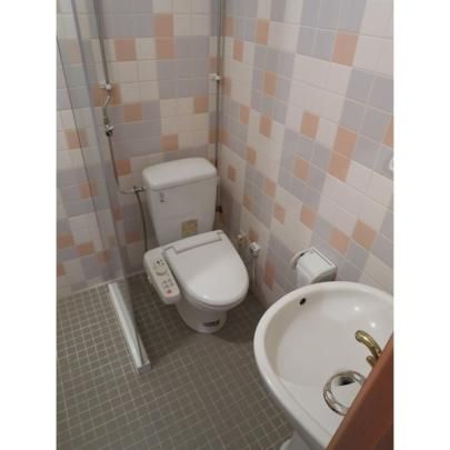 �y���̑��z�@�g�C��