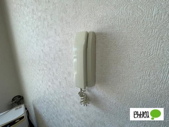 �y���̑��z�@�Z�L�����e�B