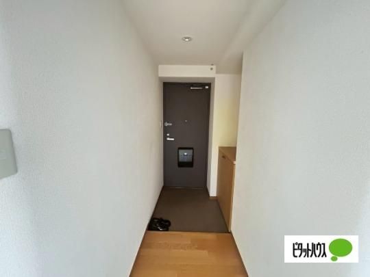 �y���̑��z�@����