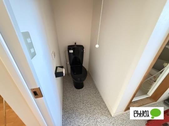 �y���̑��z�@�g�C��