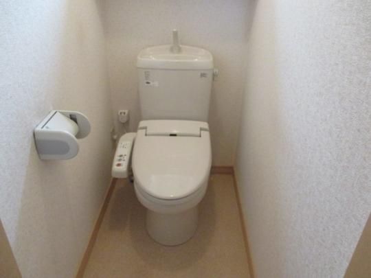 �y���̑��z�@�g�C��