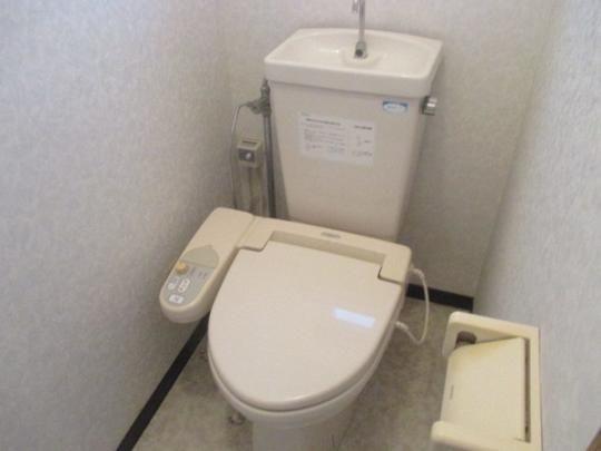 �y���̑��z�@�g�C��