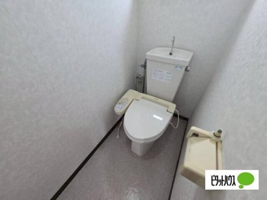 �y���̑��z�@�g�C��