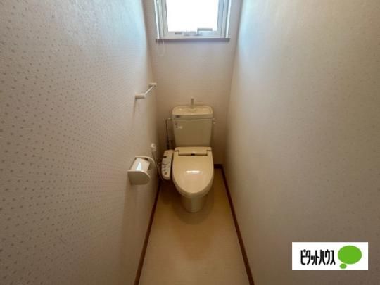 �y���̑��z�@�g�C��