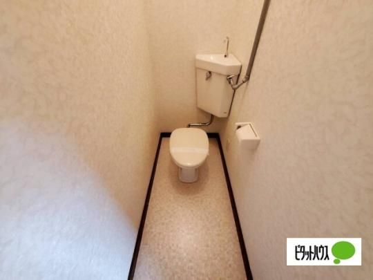 �y���̑��z�@�g�C��