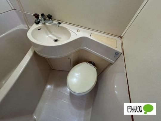 �y���̑��z�@�g�C��