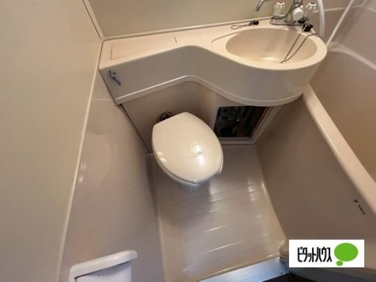 �y���̑��z�@�g�C��