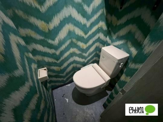 �y���̑��z�@�g�C��