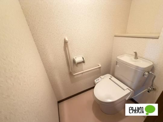 �y���̑��z�@�g�C��