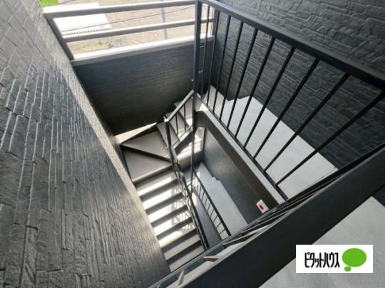 �y�����O�ρz�@���r�[