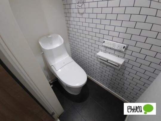 �y���̑��z�@�g�C��