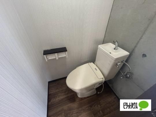 �y���̑��z�@�g�C��