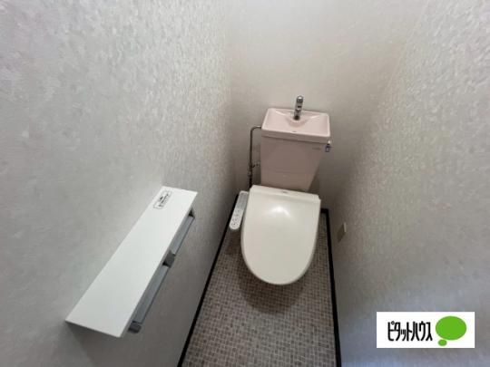 �y���̑��z�@�g�C��