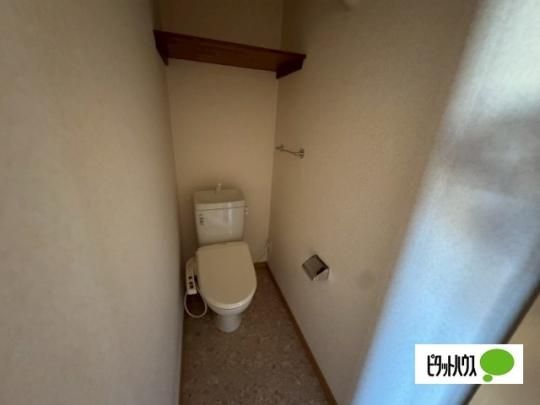 �y���̑��z�@�g�C��