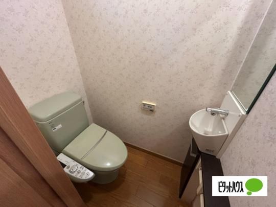 �y���̑��z�@�g�C��