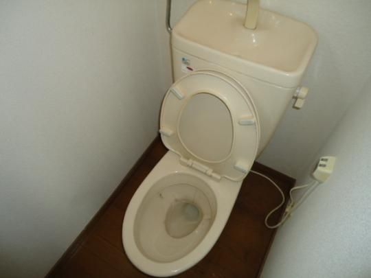 �y���̑��z�@�g�C��