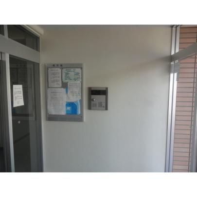 �y�����O�ρz�@���r�[