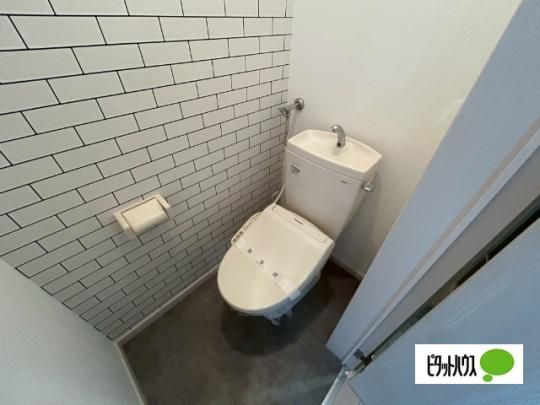 �y���̑��z�@�g�C��