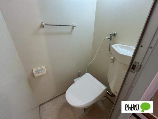 �y���̑��z�@�g�C��