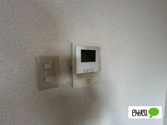 �y���̑��z�@�Z�L�����e�B