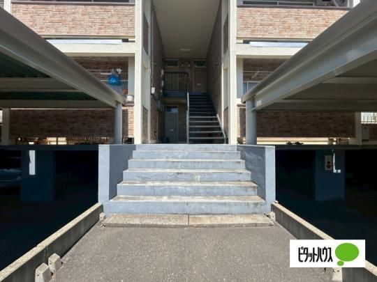�y�����O�ρz�@�G���g�����X