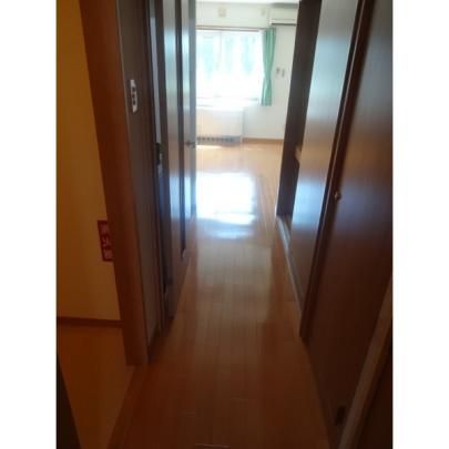 �y���̑��z�@���̑�