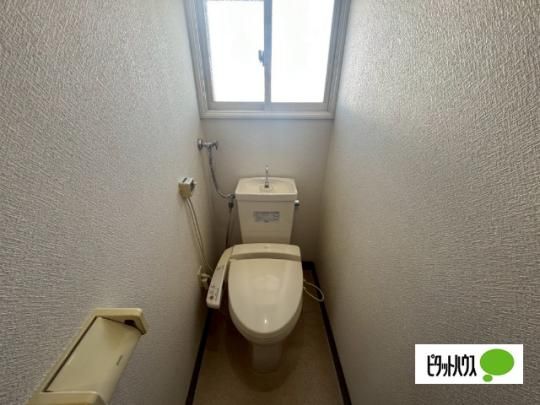 �y���̑��z�@�g�C��
