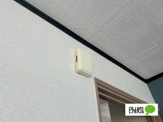 �y���̑��z�@���[
