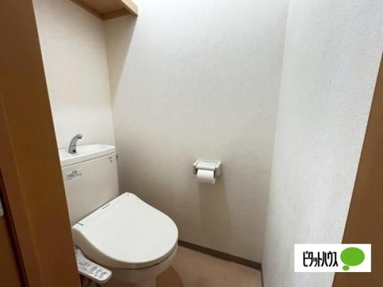 �y���̑��z�@�g�C��