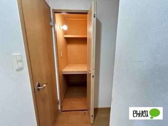 �y���̑��z�@���[