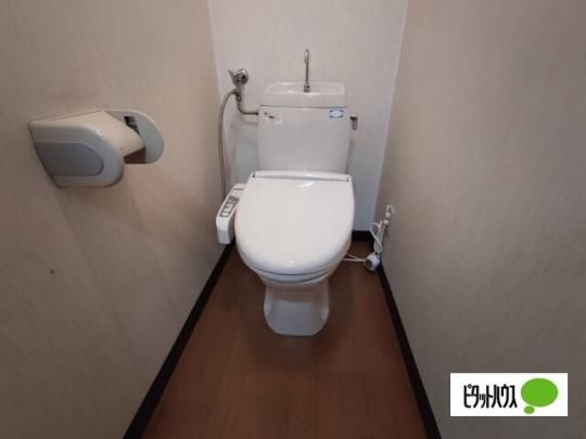 �y���̑��z�@�g�C��