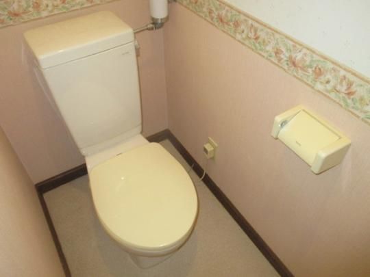 �y���̑��z�@�g�C��