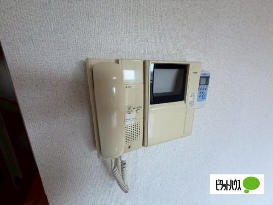 �y���̑��z�@�Z�L�����e�B