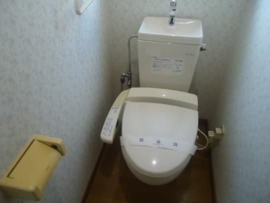 �y���̑��z�@�g�C��