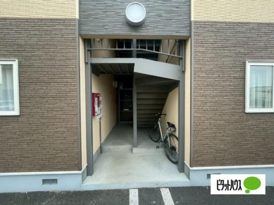 �y�����O�ρz�@�G���g�����X